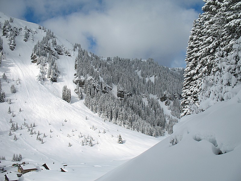 combe des Foges : Purges sur les versant orientés SE comme d'habitude dans ce secteur. Aperçu quelques chamois