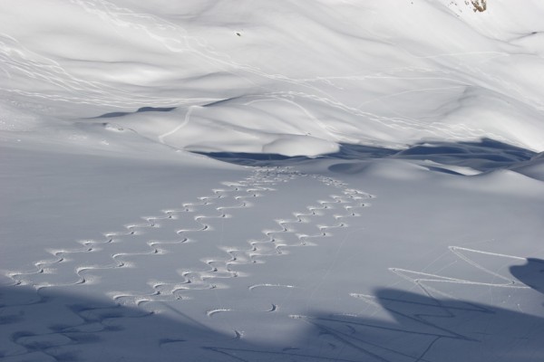 Traces dans la pente : Même par les mauvaises conditions de ce mois de janvier on arrive à trouver des bons spots si on cherche ;-)