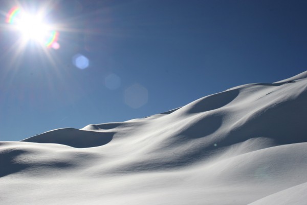 Ombres et lumières : Terrain vallonné aux Aiguilles Crochues