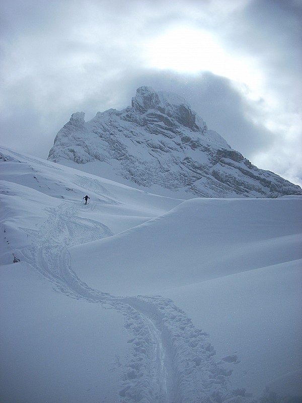 #3 Nom de code PPP : Pointe Percée Plâtrée Nom de code PPP : Pointe Percée Plâtrée