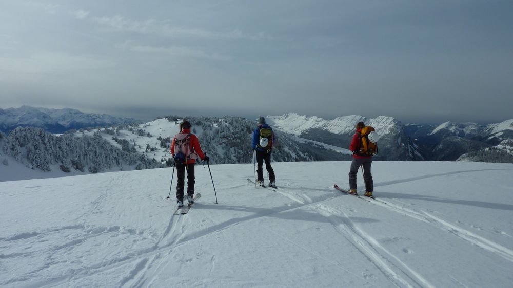 Croix de l'Alpe : belle vue vers les Lances de Malissard