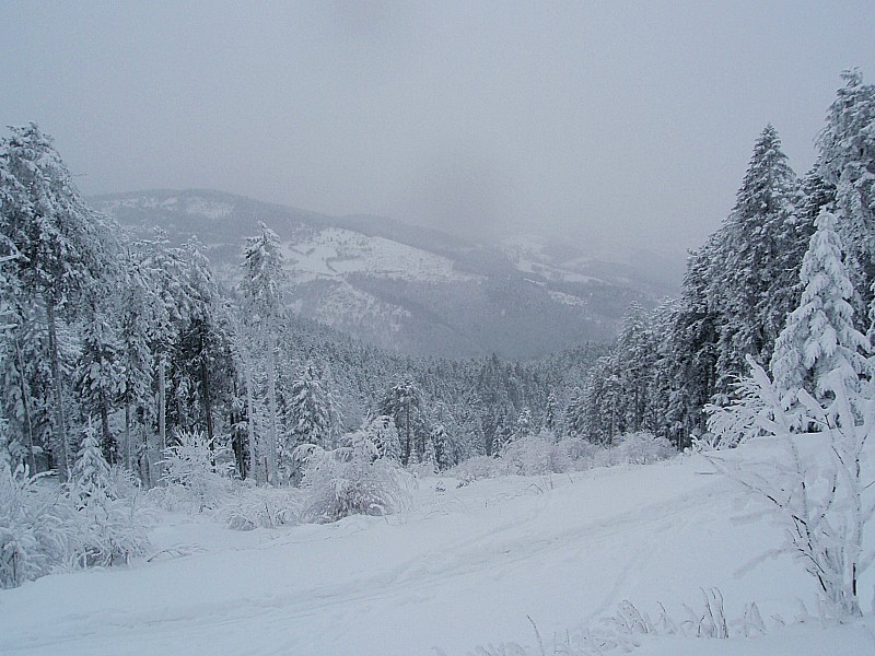 Inter et bas bonnefond : Même bien mieux!