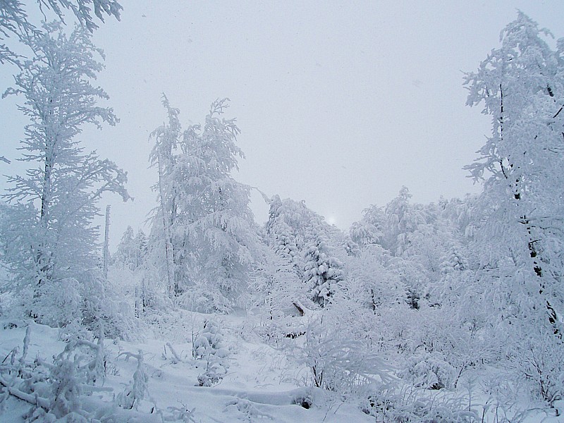 Descente Crêt Brûlé : Blanc de blanc!