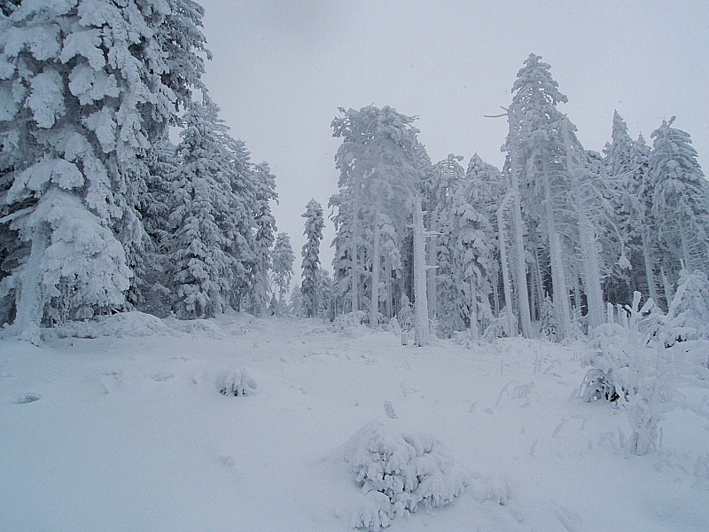 Haut Bonnefond : Mieux que la dernière fois!