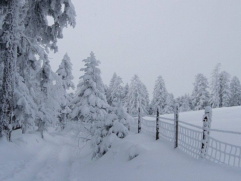 Arrivée sur le plateau : Beaucoup plus de neige ici! ça fait plaisir