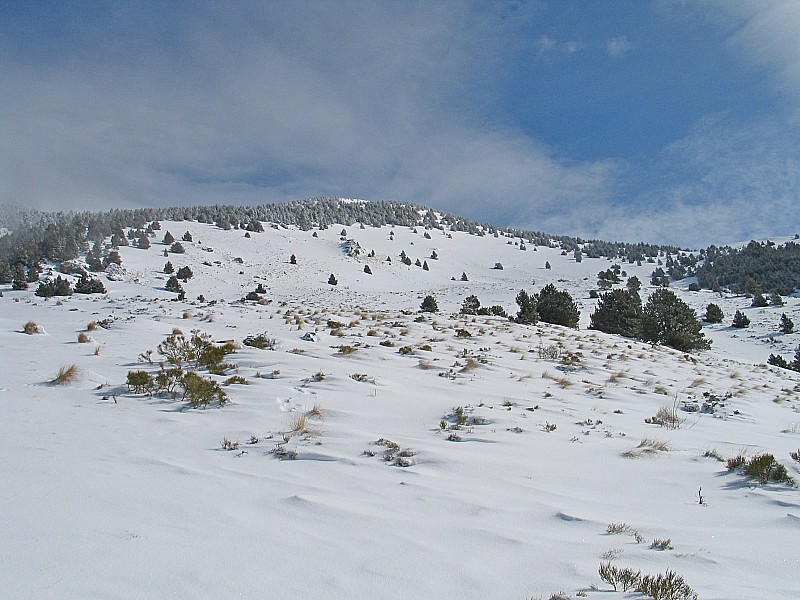 Serrat dels Clots : vers la crête, peu de neige