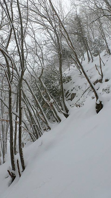 #4 Mont Veyrier : Le milieu du couloir, une (rare) partie bien skiante Mont Veyrier : Le milieu du couloir, une (rare) partie bien skiante