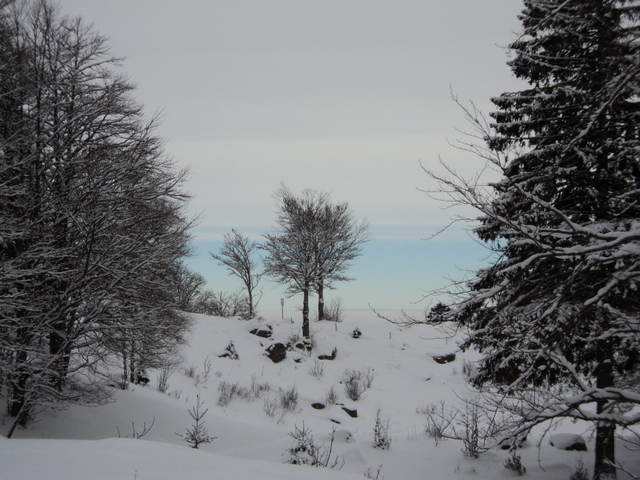 le frankental : casse-croute