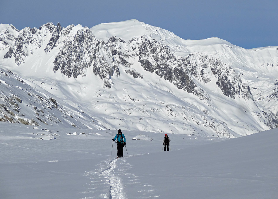 Col d'Argentière : Glacier d'Argentière et Buet en arrière plan.