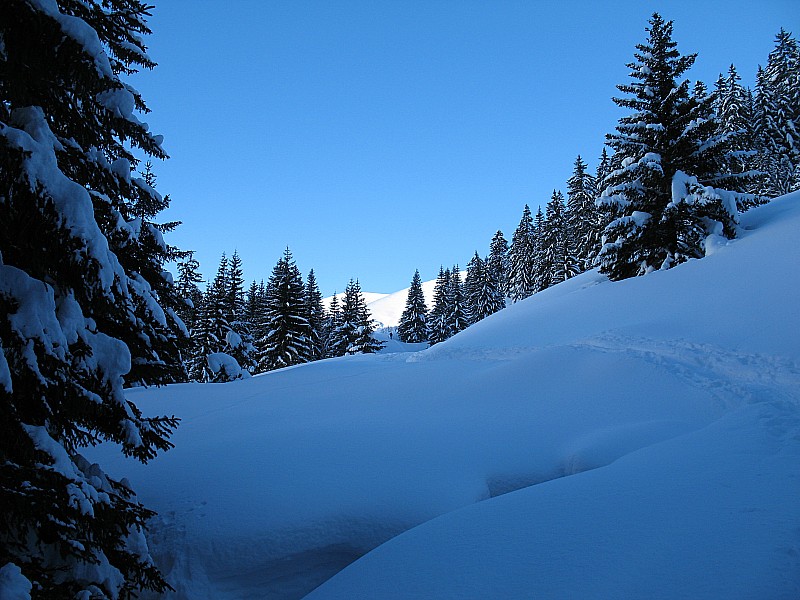 Combe Marto : Poudre magique en perspective !