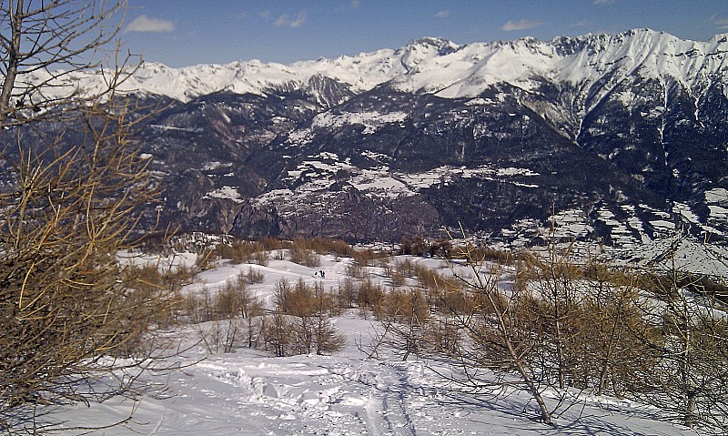 Au sortir de la forêt : vers 2200m