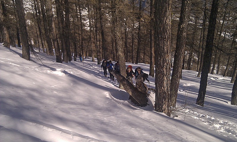 Dans la foret : vers 1900m