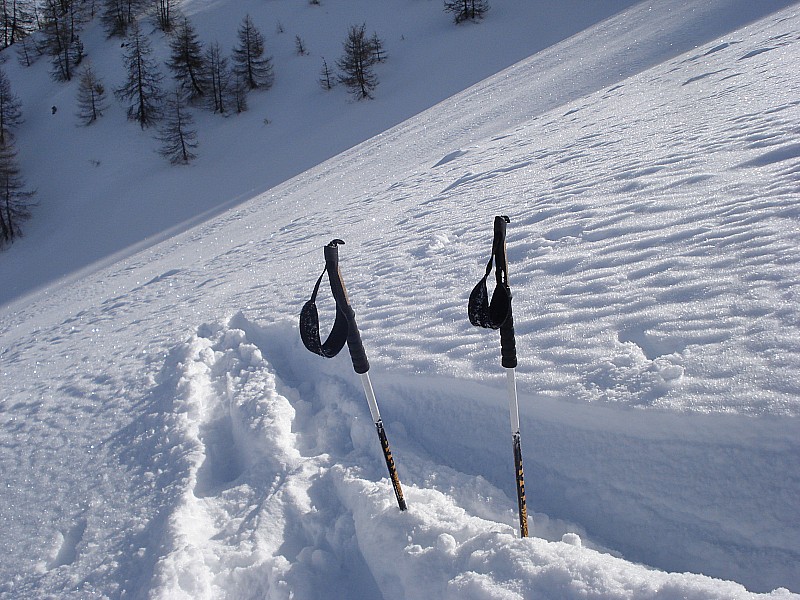 qualité quantité... : la maison ne fait que du bon!