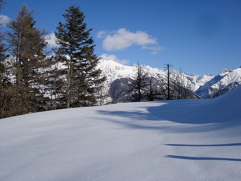 beauté hivernale : déjà du cristal!