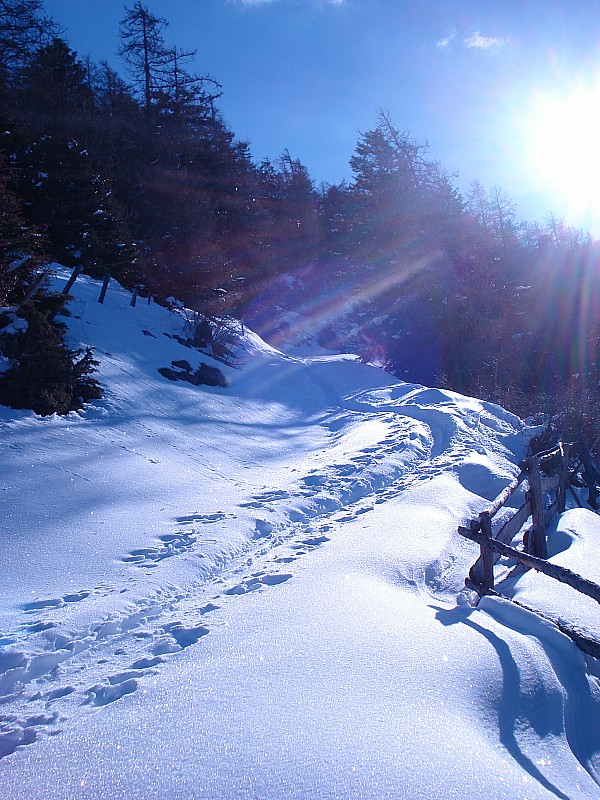 le gr en hiver : merci aux traceurs d'hier sûrement
