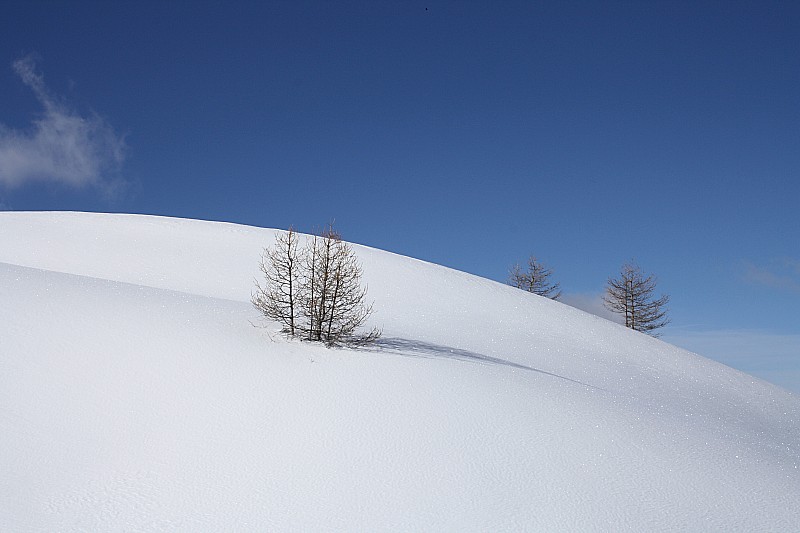 Le sud, toujours : serein...