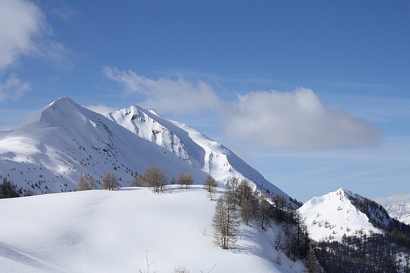Petite Autane