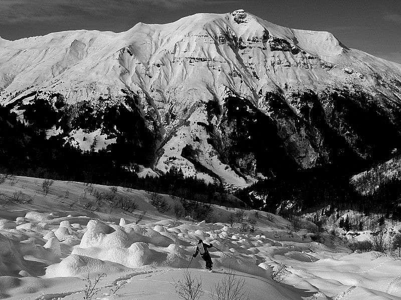 Chaborgne 20 / 02 : dans le vallon d'Armancette