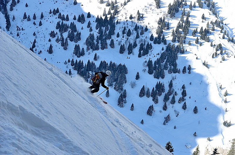 Bonne neige en haut : Mon compagnon du jour descend