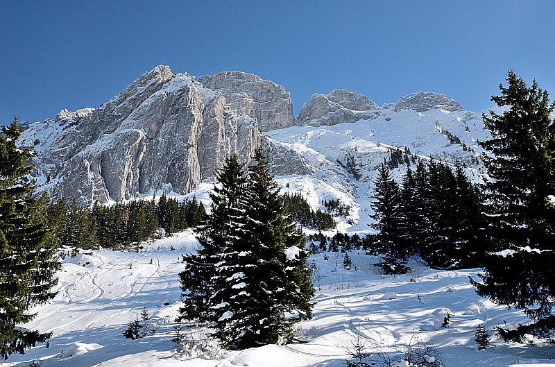 Le grand Bargy versant W : Secteur austère