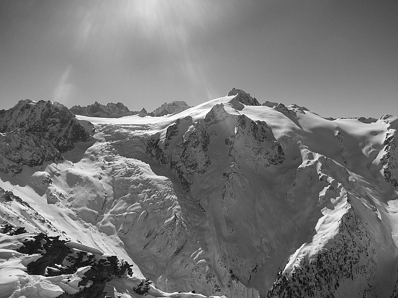 Sommet : Glacier du Trient - Aiguille du Tour