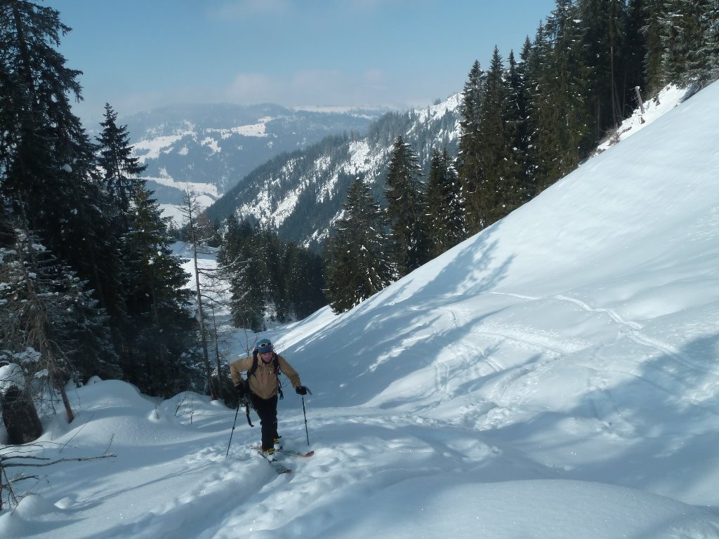 Montée sur fond de Simmental