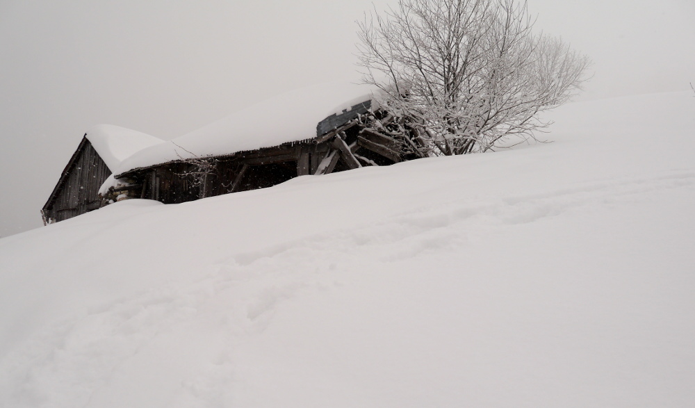 Pré Tavan : déjà 20-25 cm de poudre