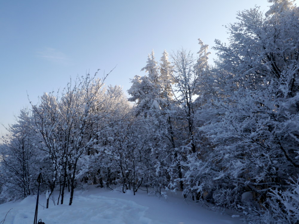 beau temps : le soleil apparait