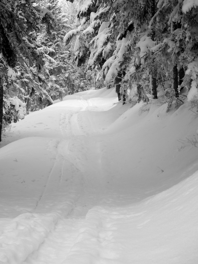 montée : dans une bonne trace