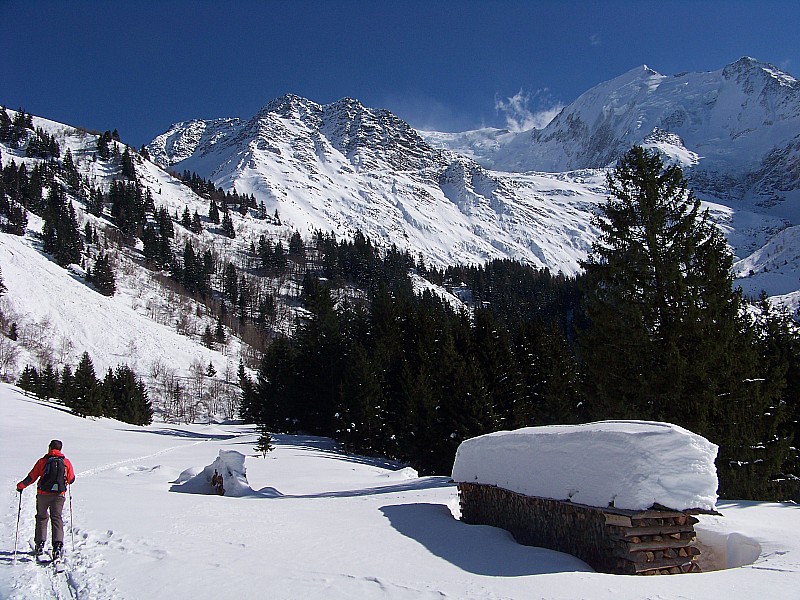 montée vers l'are : Alt. 1500m, autant de neige que de bois!