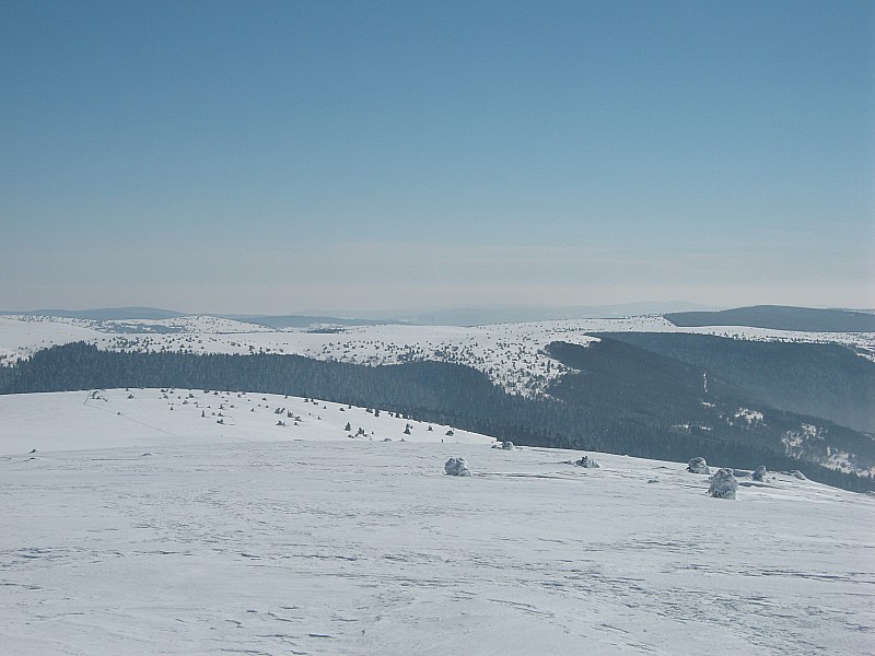 Vue du sommet : vue sur les Hautes Chaumes et le Col des Supeyres