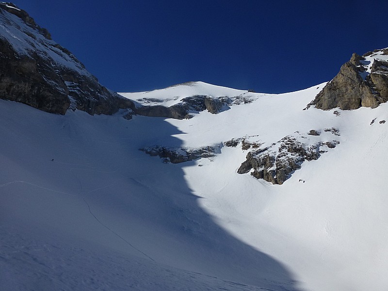 Tête de Plate Longue
