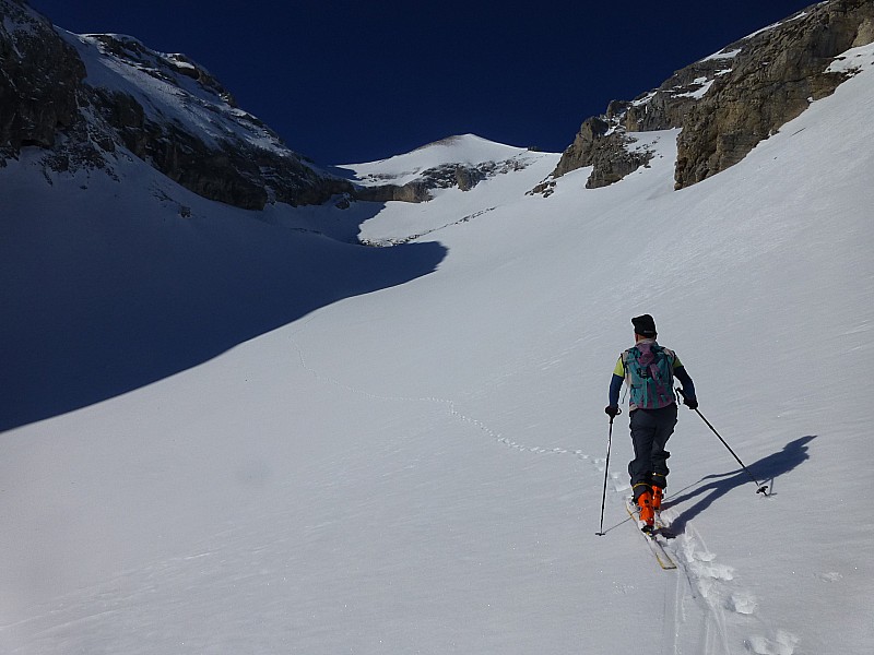 Tête de Plate Longue : Padré à la trace