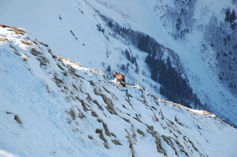 Un spectateur : Il va falloir skier propre