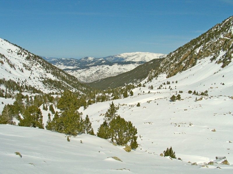 Vallée de Planes : vers l'aval .