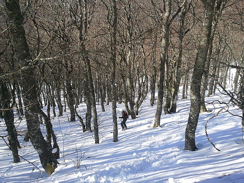 Chambon des neiges : Petit tour en forêt à l'abri du vent!