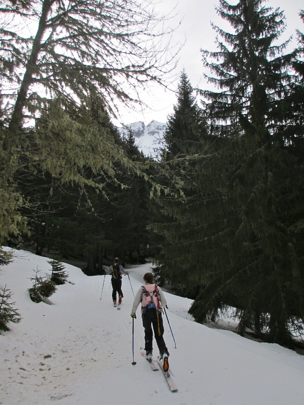 Chemin forestier : Vue sur la Brèche Ouest.