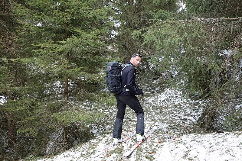 Selle du Puy Gris : Sur le bas la neige est couverte par les épines