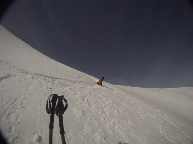 lumière : boxer ,brimbelle chamois ,radars ,taxes , .........
dur dur !