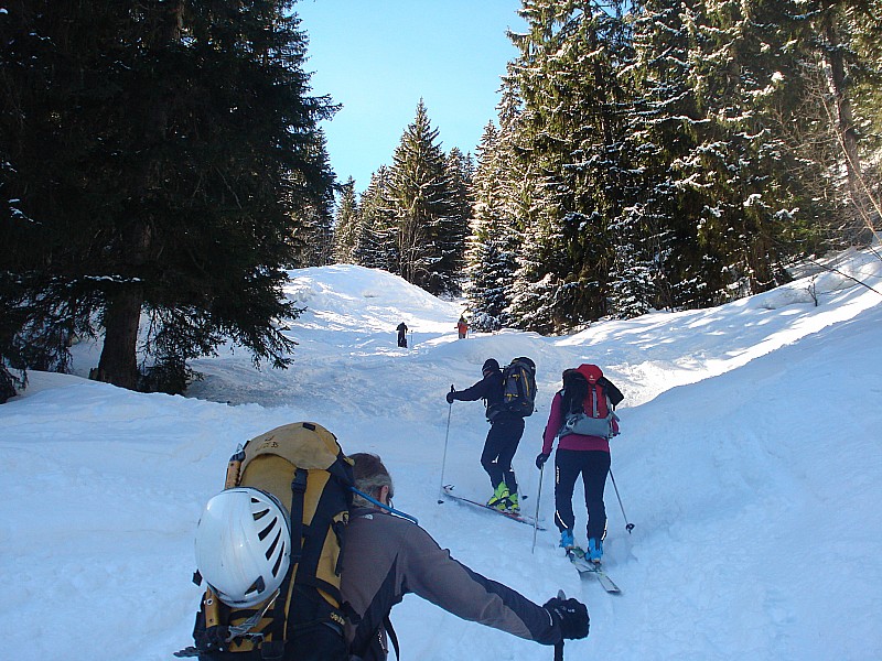 PT DU DARD : depart dans la forêt