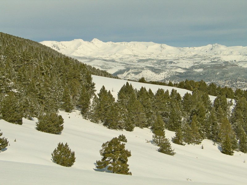 Pic Carlit : dans le lointain .