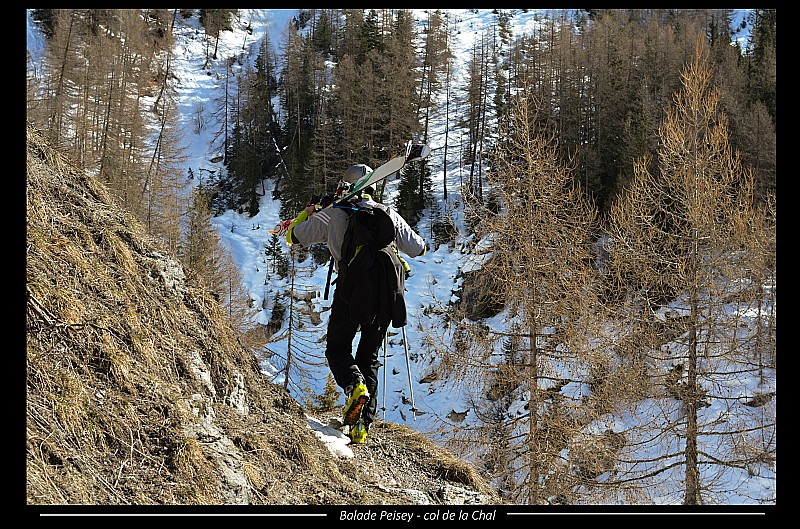 chemin dans la foret du carro : petit chemin escarpé .