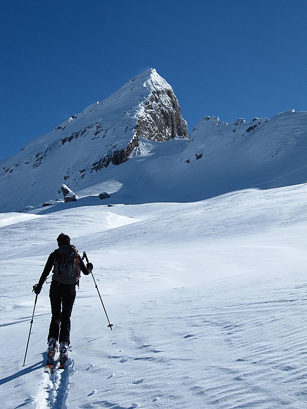 Vue sur le haut : de la Crête des Hippocampes.