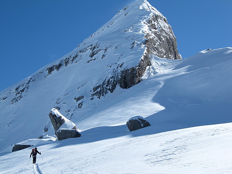 Le haut de la Crête des : Hippocampes sous la Pointe d'Ayères Sud.