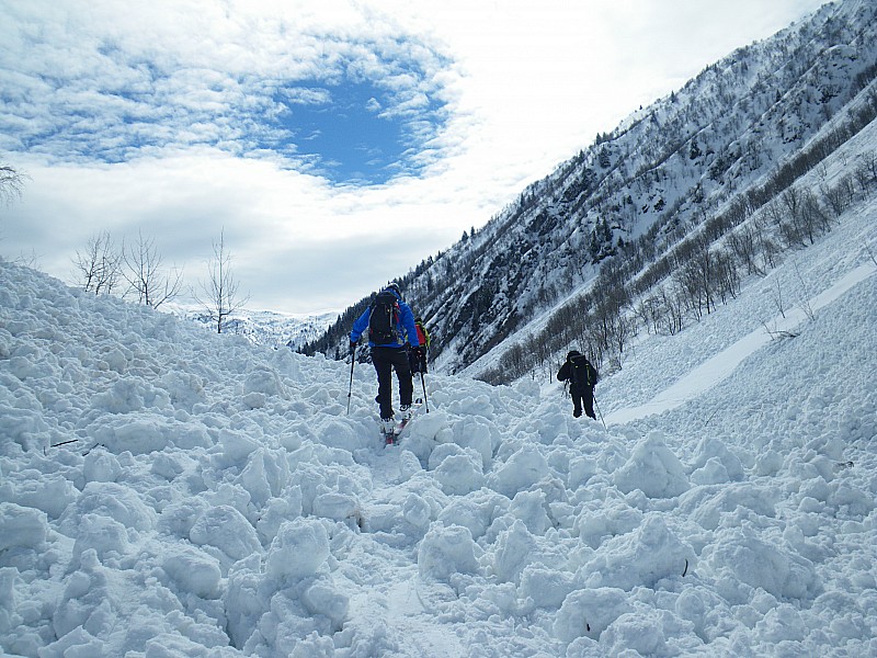 Avalanches : De grosses purges et ce n'est pas fini...