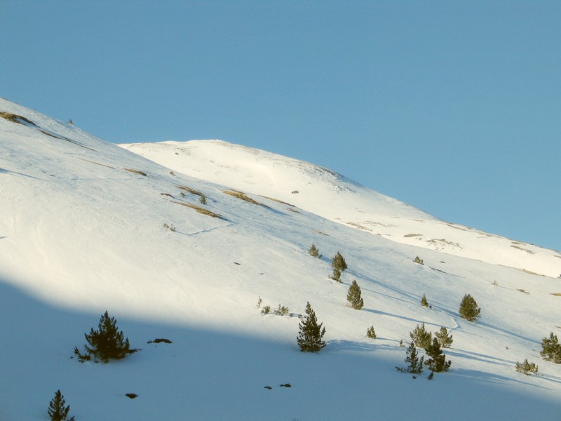 Puigmal de Sègre : et Puigmal de Llo