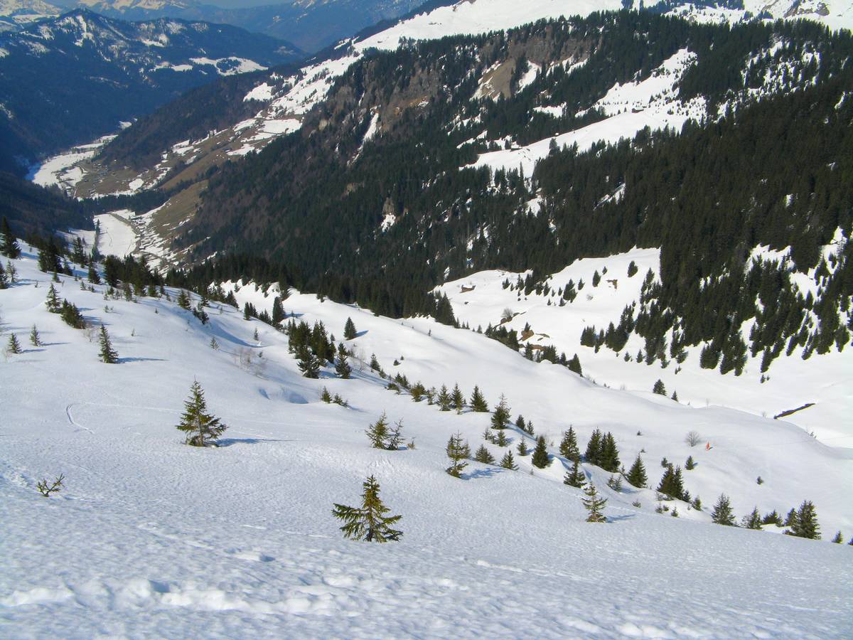 Pointe des Verts : Finalement j'aurais une bonne neige pour le bas