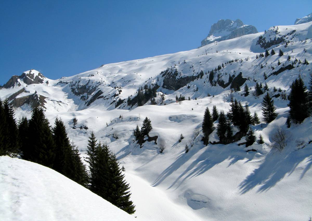 Pointe des Verts : Au-dessus du Plattuy