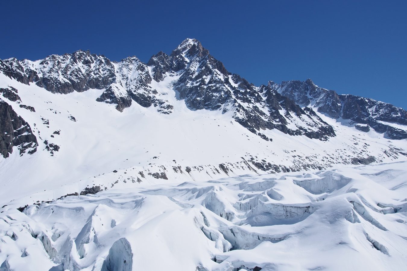 Bas du glacier d'Argentière : Et l'aiguille du Chardonnet.