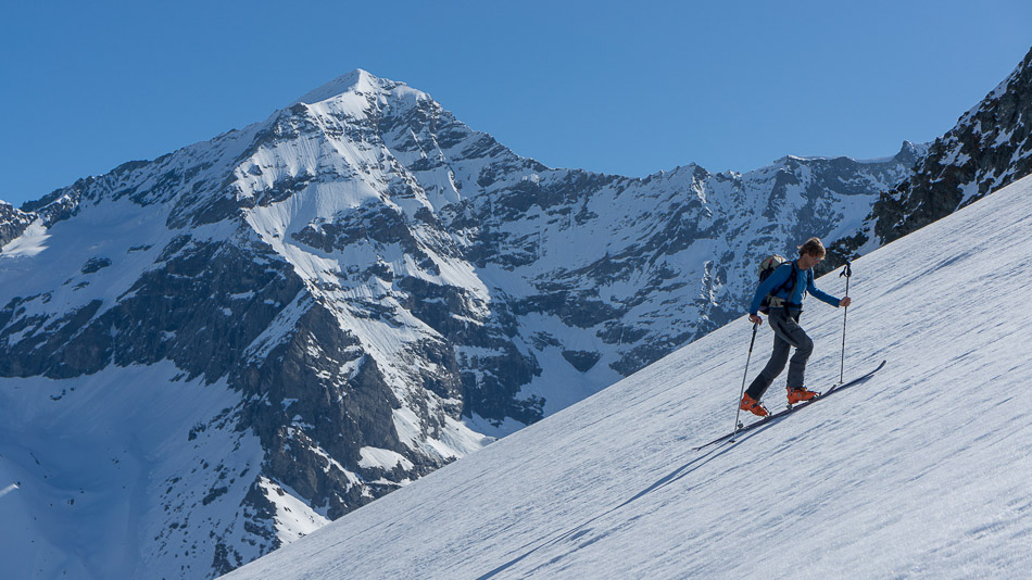 On s'énerve un peu : face au Pourri